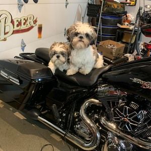 Meet your Posher, David